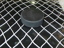 Arena Safety Netting -  Pre-Cut Sizes