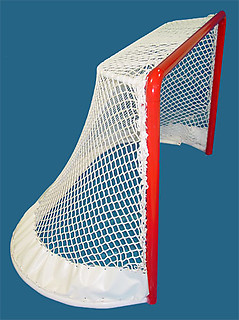 regulation nhl net