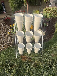 Bloom Bar Rental