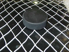 Arena Safety Netting -  Pre-Cut Sizes