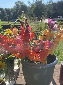 DIY Bucket of Flowers