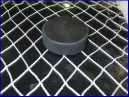 Hockey Barrier Safety Netting (Priced by size)